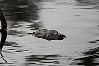 Faszination Amazonas - Südamerika [Blu-ray], 4