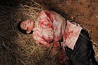 Shaolin [Blu-ray], 5