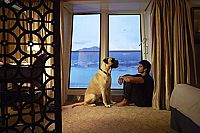 Ozean der Träume - Dil Dhadakne Do [DVD], 5