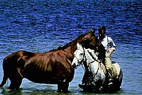 Phar Lap - Legende einer Nation  [DVD], 7