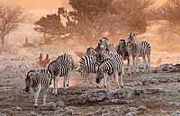 Best Of Unser faszinierender Planet [Blu-ray], 9