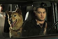 John Dies at the End [Blu-ray], 3