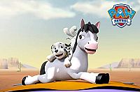 Paw Patrol - Robo-Hund im Einsatz [DVD], 4