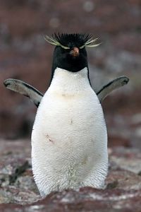 Unsere Erde - Unsere Meere  [DVD], 8