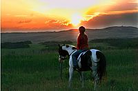 Ein Pferd für Moondance [DVD], 6