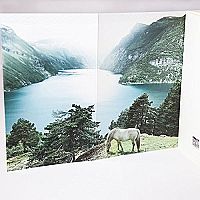 Im Land der weiten Fjorde, 5