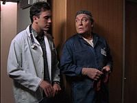 Wunder Hunde - Eine magische Geschichte [DVD], 6