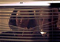 College Killer - Gib acht, vor dem Hammermörder  [Blu-ray], 3