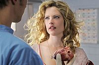 Doctor's Diary Collection [DVD], 5