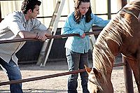 Sarah und Summer [DVD], 5