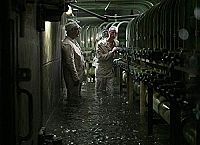 Chernobyl [DVD], 8