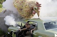 Contact High [DVD], 5