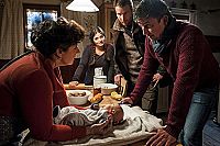 Der Bergdoktor - Staffel 9 [DVD], 2