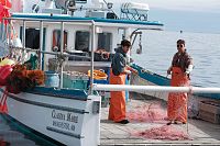 Manchester by the sea [Blu-ray], 5