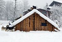 Der Husky Mann [Blu-ray 3D], 3