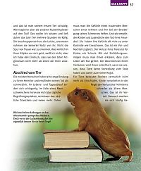Mein Meerschweinchen und ich, 6