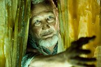 Black Swarm [DVD], 6