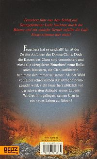 Warrior Cats - Vor dem Sturm, 1