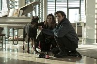 Asphaltgorillas [DVD], 6