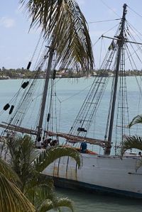 Lost in Paradise - Mauritius [Blu-ray 3D], 9