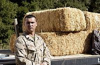 Liebe gewinnt [DVD], 9