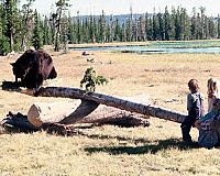 Die Abenteuer der Familie Robinson in der Wildnis [Blu-ray], 3