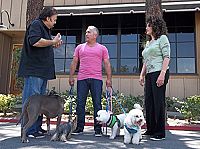 National Geographic - Notruf Hund  [DVD], 3