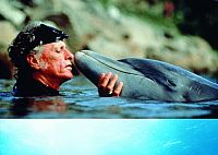 Die Bucht - The Cove [DVD], 2