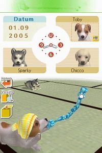 Nintendogs - Dachshund & Friends [Nintendo DS], 4