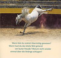 Immer mit der Ruhe, 3