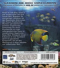 Dive 3D - Leben im Schiffswrack [Blu-ray 3D], 1