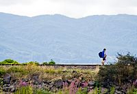 Wendy and Lucy [DVD], 4