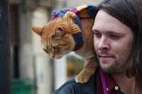 Bob und wie er die Welt sieht, 2