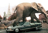 Jumanji [Blu-ray], 7