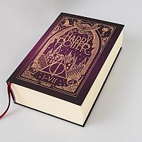 Harry Potter - Gesamtausgabe, 7