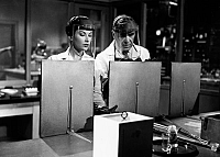 Tarantula [Blu-ray], 5