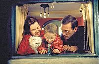 Stuart Little [DVD], 6