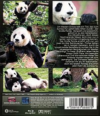 Der grosse Panda [Blu-ray], 1