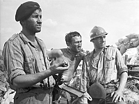 Fünf Patronenhülsen [DVD], 1