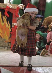 Die schönsten Hundefilme [DVD], 3