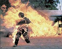 Der Killerparasit [DVD], 9