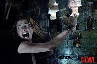 Crawl [Blu-ray], 9
