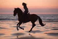 Immenhof - Das Abenteuer eines Sommers [DVD], 8