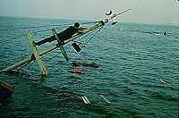 Les dents de la mer [Blu-ray], 2