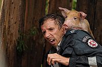 Redirected - Ein fast perfekter Coup  [Blu-ray], 3