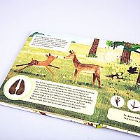 Wer läuft denn da?, 4