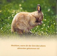 Immer mit der Ruhe, 1