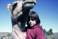 Violent Crime in Australia [DVD], 4