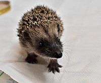 Eine Handvoll Glück, 4