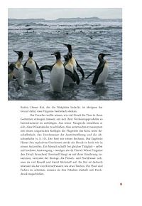 Pole, Packeis, Pinguine, 2